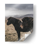 Caballos Nórdicos - Emmanuel Ramírez | Cuadro decorativo de Canvas Lab