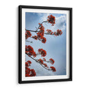 Growing - PhotoVicz | Cuadro decorativo de Canvas Lab