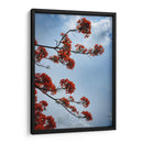 Growing - PhotoVicz | Cuadro decorativo de Canvas Lab