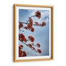 Growing - PhotoVicz | Cuadro decorativo de Canvas Lab