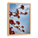 Growing - PhotoVicz | Cuadro decorativo de Canvas Lab