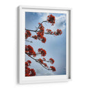 Growing - PhotoVicz | Cuadro decorativo de Canvas Lab