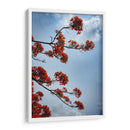 Growing - PhotoVicz | Cuadro decorativo de Canvas Lab