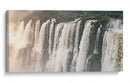 Caudal - Iguazú - Emmanuel Ramírez | Cuadro decorativo de Canvas Lab