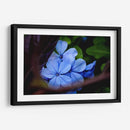 Lean Out - PhotoVicz | Cuadro decorativo de Canvas Lab