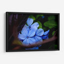 Lean Out - PhotoVicz | Cuadro decorativo de Canvas Lab