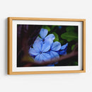 Lean Out - PhotoVicz | Cuadro decorativo de Canvas Lab