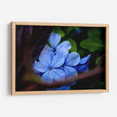 Lean Out - PhotoVicz | Cuadro decorativo de Canvas Lab