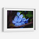 Lean Out - PhotoVicz | Cuadro decorativo de Canvas Lab