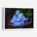 Lean Out - PhotoVicz | Cuadro decorativo de Canvas Lab