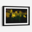 Loneliness - PhotoVicz | Cuadro decorativo de Canvas Lab