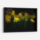 Loneliness - PhotoVicz | Cuadro decorativo de Canvas Lab