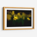 Loneliness - PhotoVicz | Cuadro decorativo de Canvas Lab