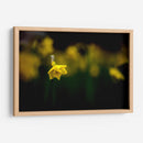 Loneliness - PhotoVicz | Cuadro decorativo de Canvas Lab