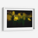 Loneliness - PhotoVicz | Cuadro decorativo de Canvas Lab