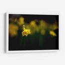 Loneliness - PhotoVicz | Cuadro decorativo de Canvas Lab