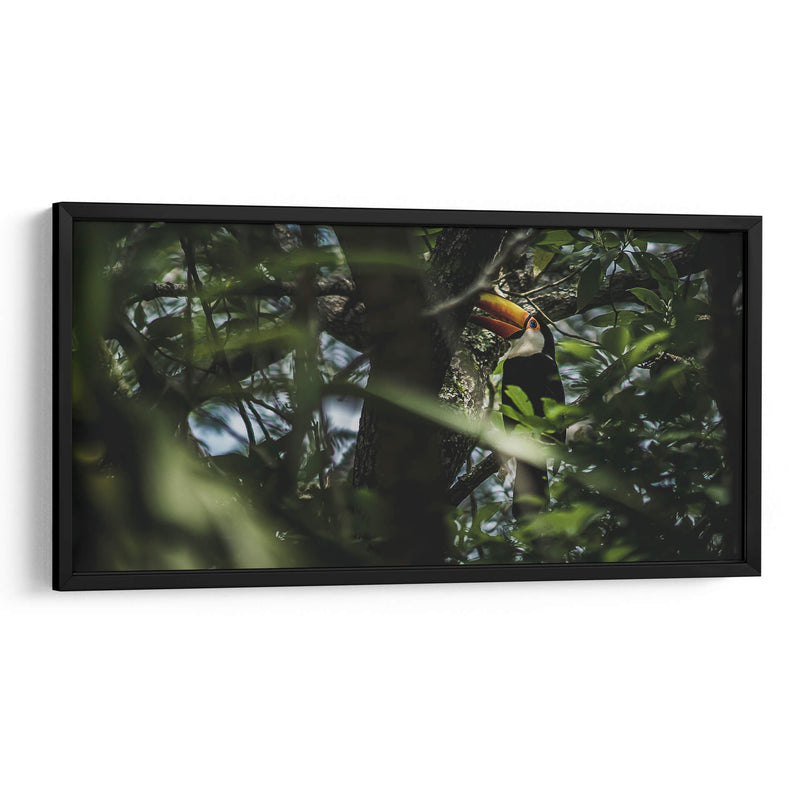 Habitante de Iguazú - Emmanuel Ramírez | Cuadro decorativo de Canvas Lab