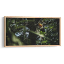 Habitante de Iguazú - Emmanuel Ramírez | Cuadro decorativo de Canvas Lab