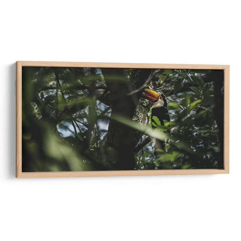 Habitante de Iguazú - Emmanuel Ramírez | Cuadro decorativo de Canvas Lab