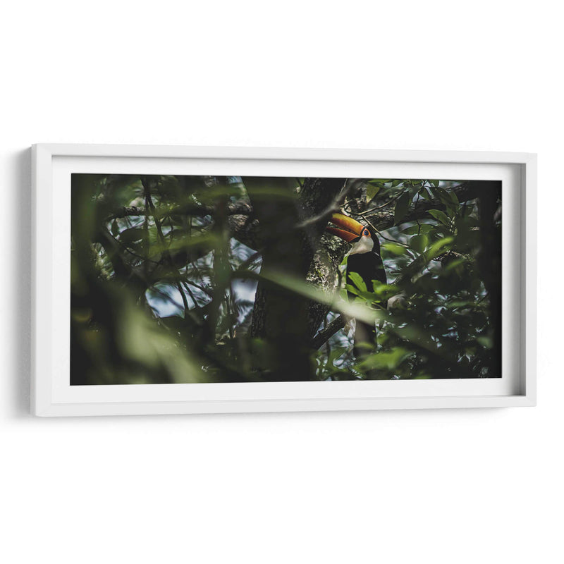 Habitante de Iguazú - Emmanuel Ramírez | Cuadro decorativo de Canvas Lab