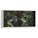 Habitante de Iguazú - Emmanuel Ramírez | Cuadro decorativo de Canvas Lab