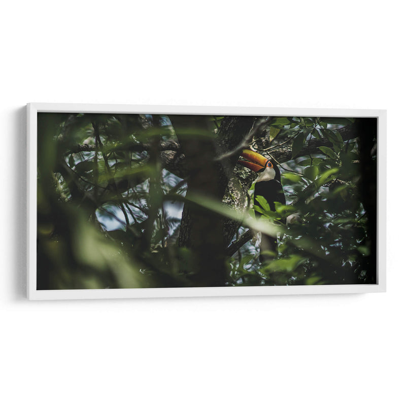 Habitante de Iguazú - Emmanuel Ramírez | Cuadro decorativo de Canvas Lab