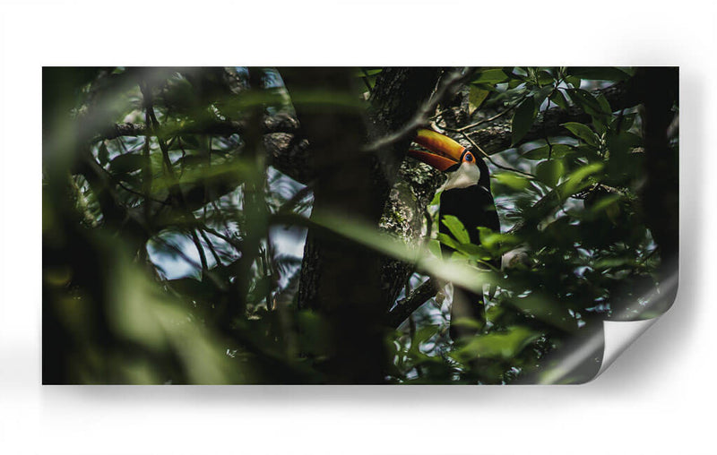 Habitante de Iguazú - Emmanuel Ramírez | Cuadro decorativo de Canvas Lab