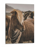 Habitante Islandés - Emmanuel Ramírez | Cuadro decorativo de Canvas Lab