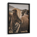 Habitante Islandés - Emmanuel Ramírez | Cuadro decorativo de Canvas Lab