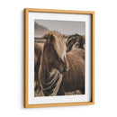 Habitante Islandés - Emmanuel Ramírez | Cuadro decorativo de Canvas Lab