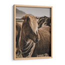 Habitante Islandés - Emmanuel Ramírez | Cuadro decorativo de Canvas Lab