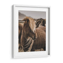 Habitante Islandés - Emmanuel Ramírez | Cuadro decorativo de Canvas Lab