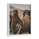 Habitante Islandés - Emmanuel Ramírez | Cuadro decorativo de Canvas Lab