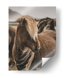 Habitante Islandés - Emmanuel Ramírez | Cuadro decorativo de Canvas Lab