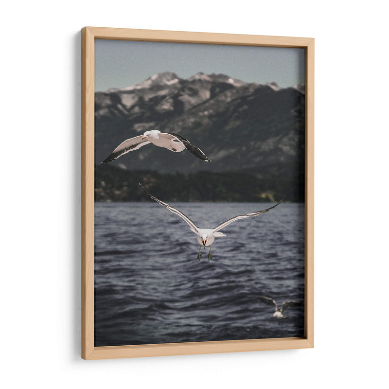 Inmune - Emmanuel Ramírez | Cuadro decorativo de Canvas Lab