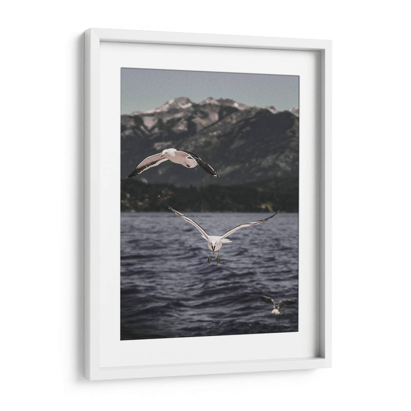 Inmune - Emmanuel Ramírez | Cuadro decorativo de Canvas Lab