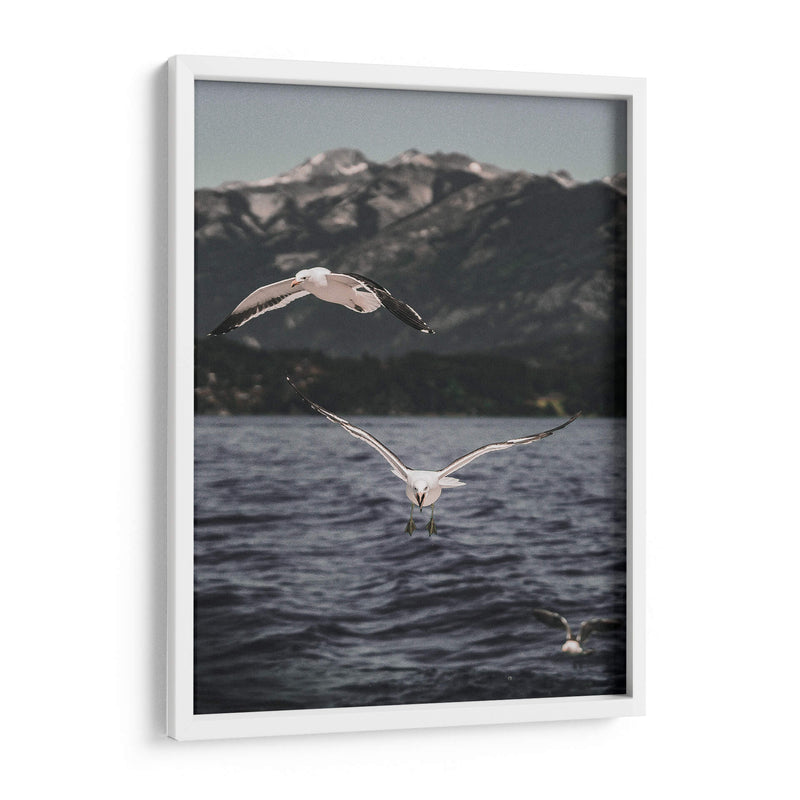 Inmune - Emmanuel Ramírez | Cuadro decorativo de Canvas Lab