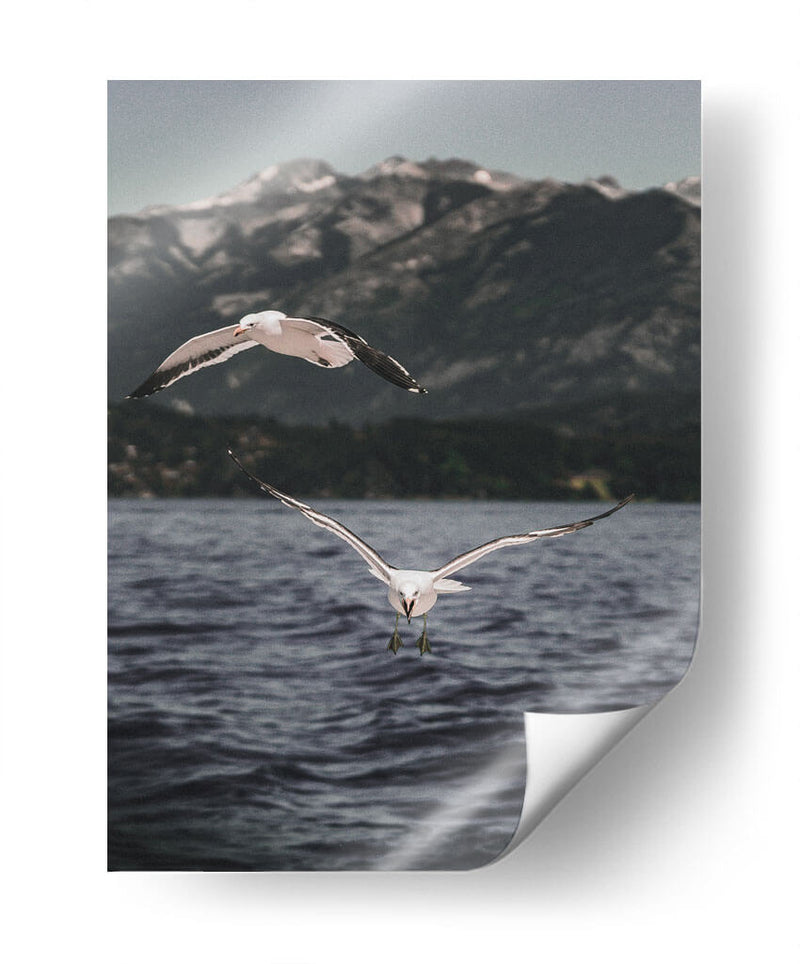 Inmune - Emmanuel Ramírez | Cuadro decorativo de Canvas Lab