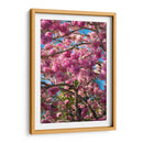 Magenta - PhotoVicz | Cuadro decorativo de Canvas Lab