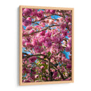 Magenta - PhotoVicz | Cuadro decorativo de Canvas Lab