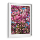 Magenta - PhotoVicz | Cuadro decorativo de Canvas Lab