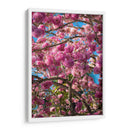 Magenta - PhotoVicz | Cuadro decorativo de Canvas Lab