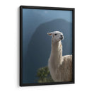 Llama - Perú - Emmanuel Ramírez | Cuadro decorativo de Canvas Lab