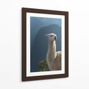 Cuadro decorativo de Canvas Lab