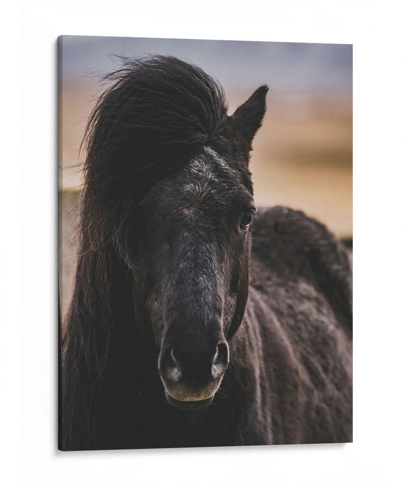 Mirada - Emmanuel Ramírez | Cuadro decorativo de Canvas Lab