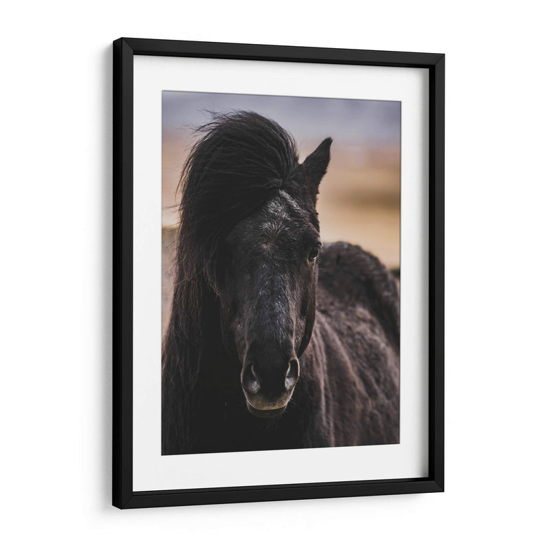 Mirada - Emmanuel Ramírez | Cuadro decorativo de Canvas Lab