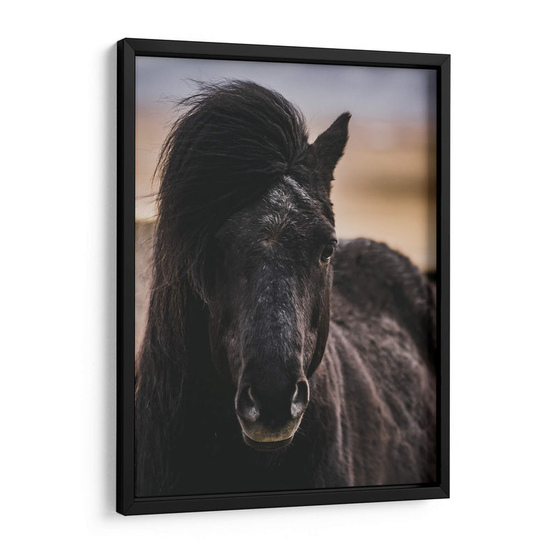 Mirada - Emmanuel Ramírez | Cuadro decorativo de Canvas Lab