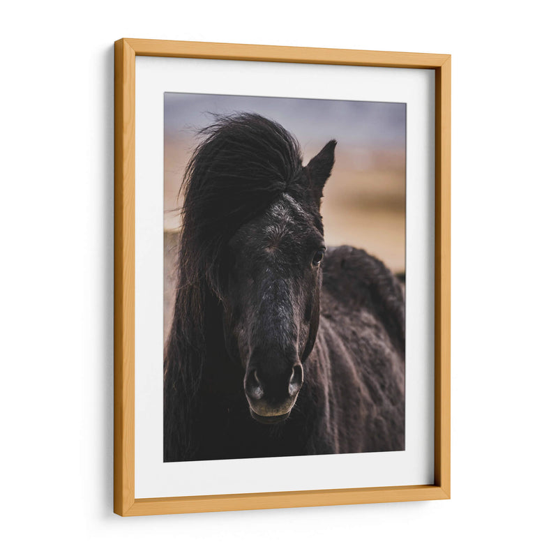 Mirada - Emmanuel Ramírez | Cuadro decorativo de Canvas Lab