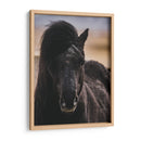 Mirada - Emmanuel Ramírez | Cuadro decorativo de Canvas Lab