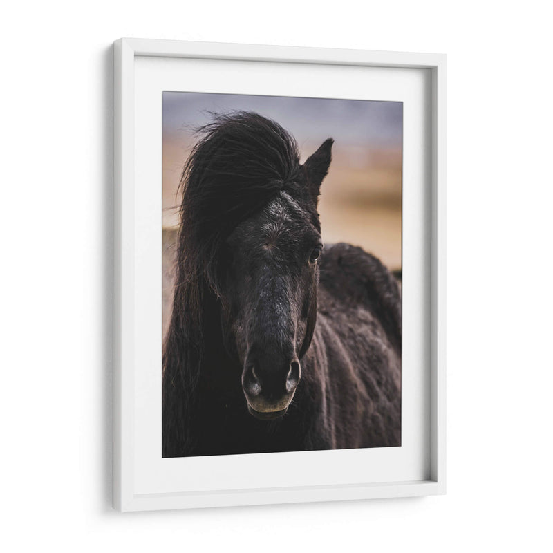 Mirada - Emmanuel Ramírez | Cuadro decorativo de Canvas Lab